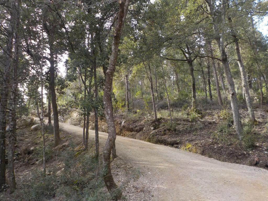 Ormanni nel Chianti Classico Barberino di Val dʼElsa Esterno foto