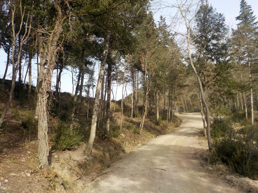 Ormanni nel Chianti Classico Barberino di Val dʼElsa Esterno foto