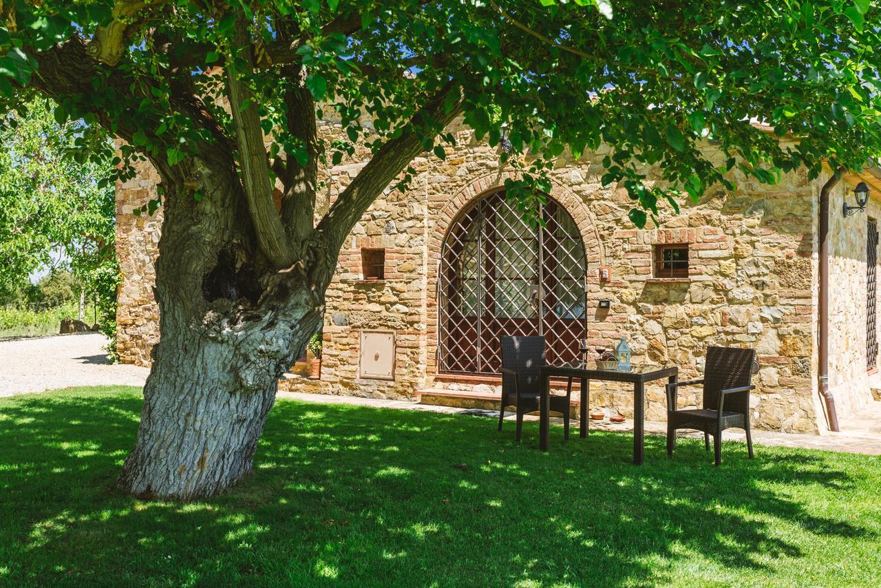 Ormanni nel Chianti Classico Barberino di Val dʼElsa Esterno foto